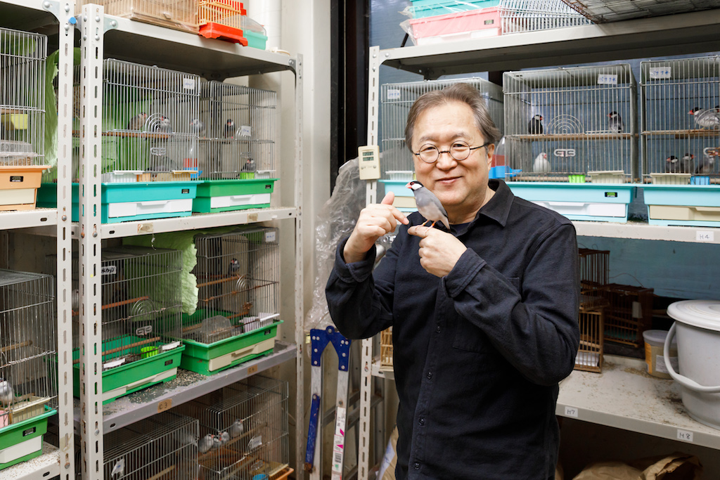 研究室探訪・岡ノ谷一夫教授