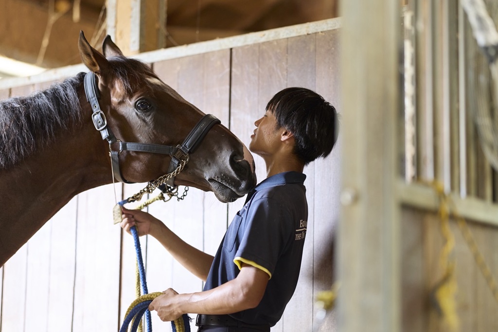 東京大学馬術部
