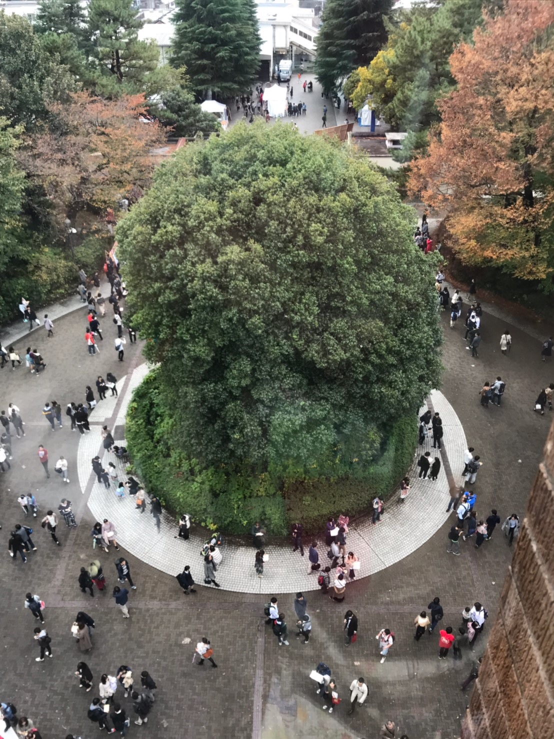 2019駒祭_一号館より_本村さん